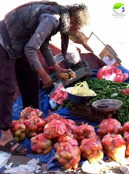 المشروع الثالث