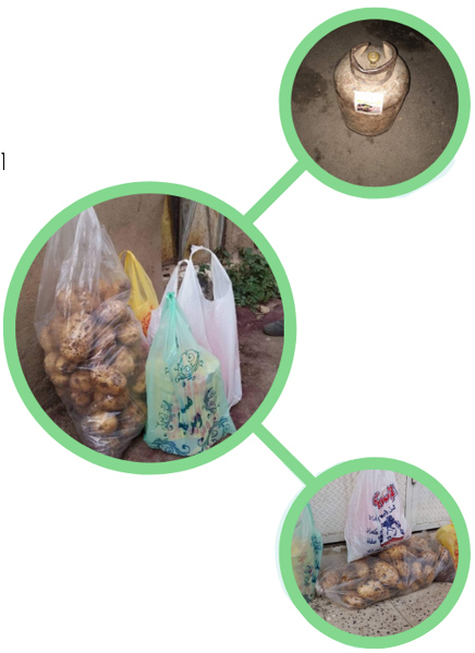 المشروع الحادي عشر