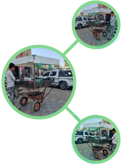 المشروع الخامس والعشرون