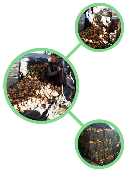 المشروع الثالث